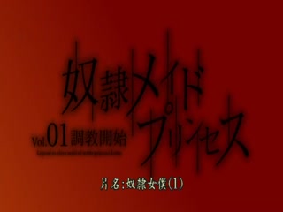 奴隶女仆公主 Vol.01～调教开始～ DG-032