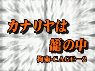 カナリヤは笼の中 2