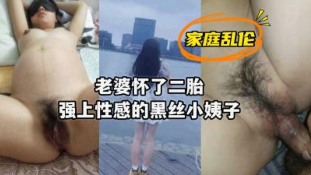 老婆怀上了二胎强上性感黑丝小姨子海报剧照