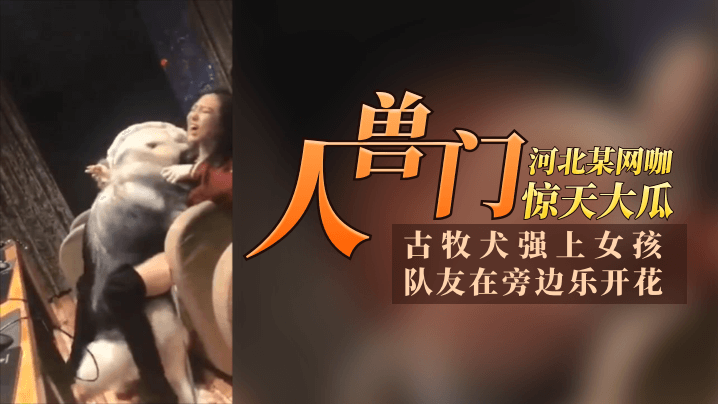 【12.11惊天大瓜】河北某网咖“人兽门”！古牧犬强上女孩，队友再旁边乐开花，青年人太会玩了！海报剧照